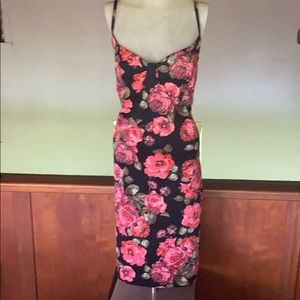 NWT Fashion Nova Plus Size Floral Dress